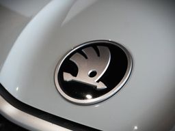 Zunanja slika - Škoda Kodiaq - 2.0 TDI Selection DSG - 20 - Predogledna slika