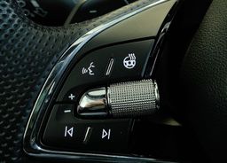 Zunanja slika - Škoda Octavia - RS-2.0TDI-200KM-DSG-KAMERA-VIRTUAL-ACC-SOUND-19C- - 19 - Predogledna slika