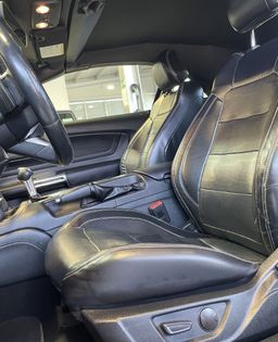 Zunanja slika - Ford Mustang - 5.0-V8-GT-HLAJENJE SED-MEMORY-USNJE-RADAR-LED-20C - 10 - Predogledna slika