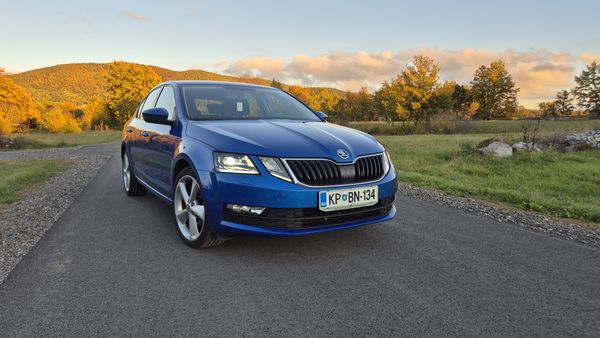 Predogledna slika - Škoda Octavia 2,0 TDI Family DSG