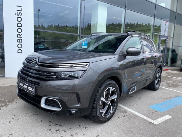 Predogledna slika - Citroën C5