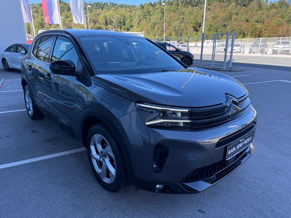 Predogledna slika - Citroën C5