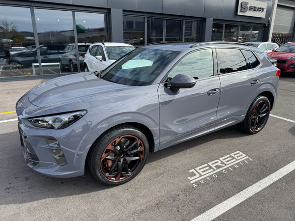 Predogledna slika - Cupra Terramar