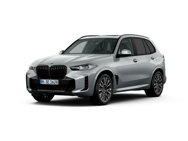 Predogledna slika - BMW X5 xDrive30d