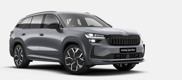 Predogledna slika - Škoda Kodiaq 2.0 TDI DSG 110kW Sportline