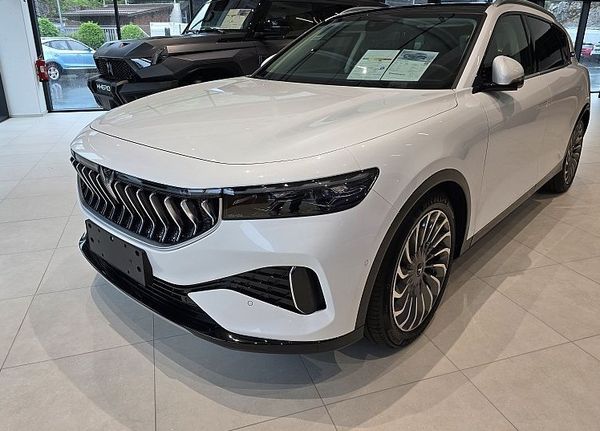 Predogledna slika - Voyah Free NA ZALOGI