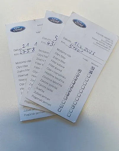 Zunanja slika - Ford Ecosport - 1.0 EcoBoost 92 kW Titanium-SLO AVTO-ZIMSKI PAKET - 12