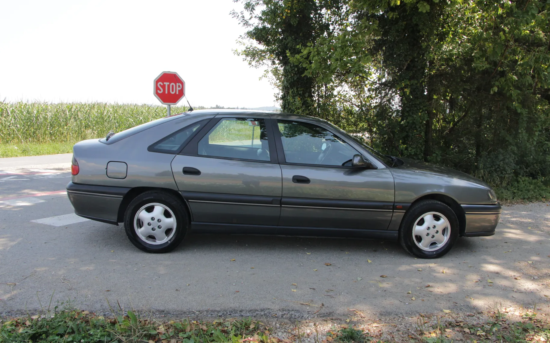 Zunanja slika - Renault Safrane - Fairway 2,5 - 3