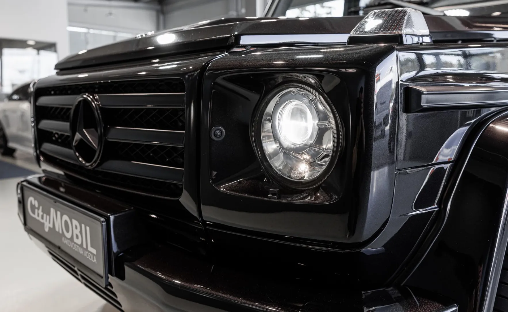 Zunanja slika - Mercedes-Benz G-Razred - G350D-PANO-USNJE-NAVI-HLAJ.SED-TEMPOMAT-20C - 10