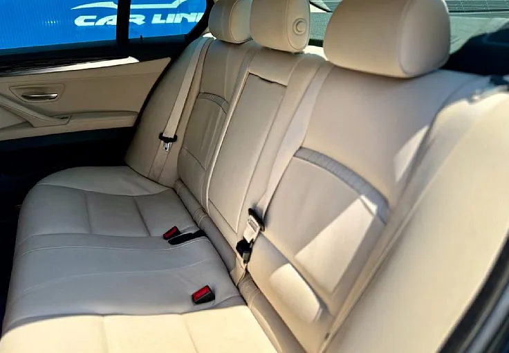 Zunanja slika - BMW Serija 5 - : 520d xDrive Avt.| Luxury | Navi Pro | Kamera | PDC - 11