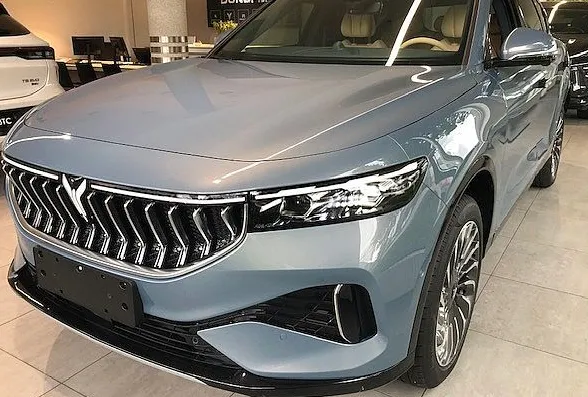 Zunanja slika - Voyah Free - 106 kWh AWD - NA ZALOGI - 11