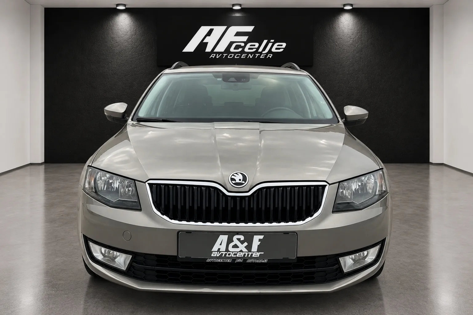 Zunanja slika - Škoda Octavia - 1.6 TDI-NAVIGACIJA-LIZING ZA TUJCE-TEMPOMAT - 2