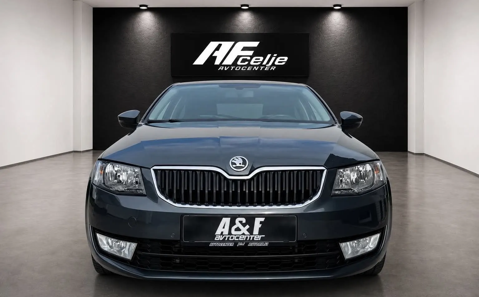 Zunanja slika - Škoda Octavia - 1.6 TDI-NAVIGACIJA-LIZING ZA TUJCE-PDC-ODLIČEN- - 2