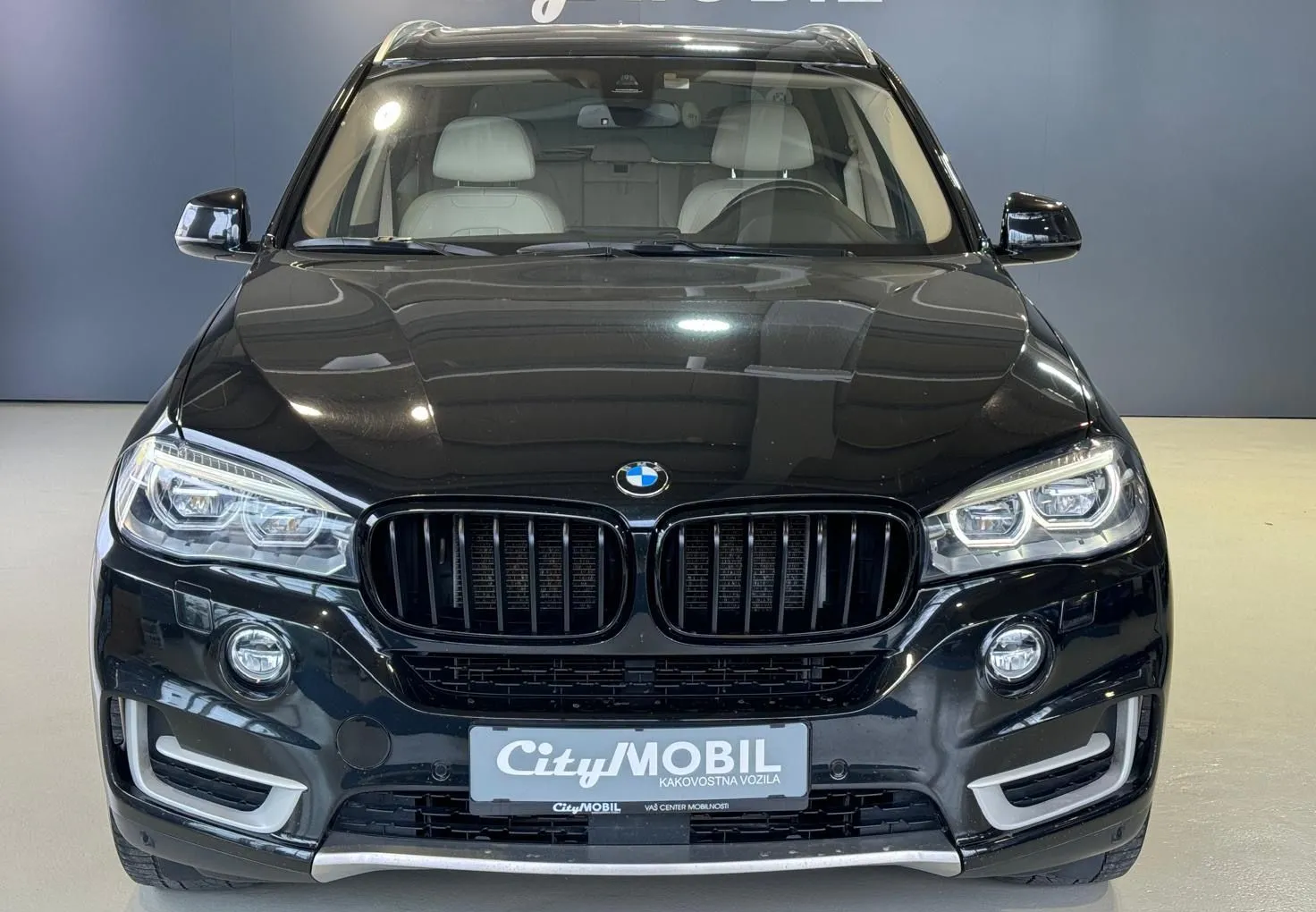 Zunanja slika - BMW X5 - serija : SLO-XDRIVE-M PAKET-NAVI-MEMORY-KAMERA-USNJE-ALU - 3