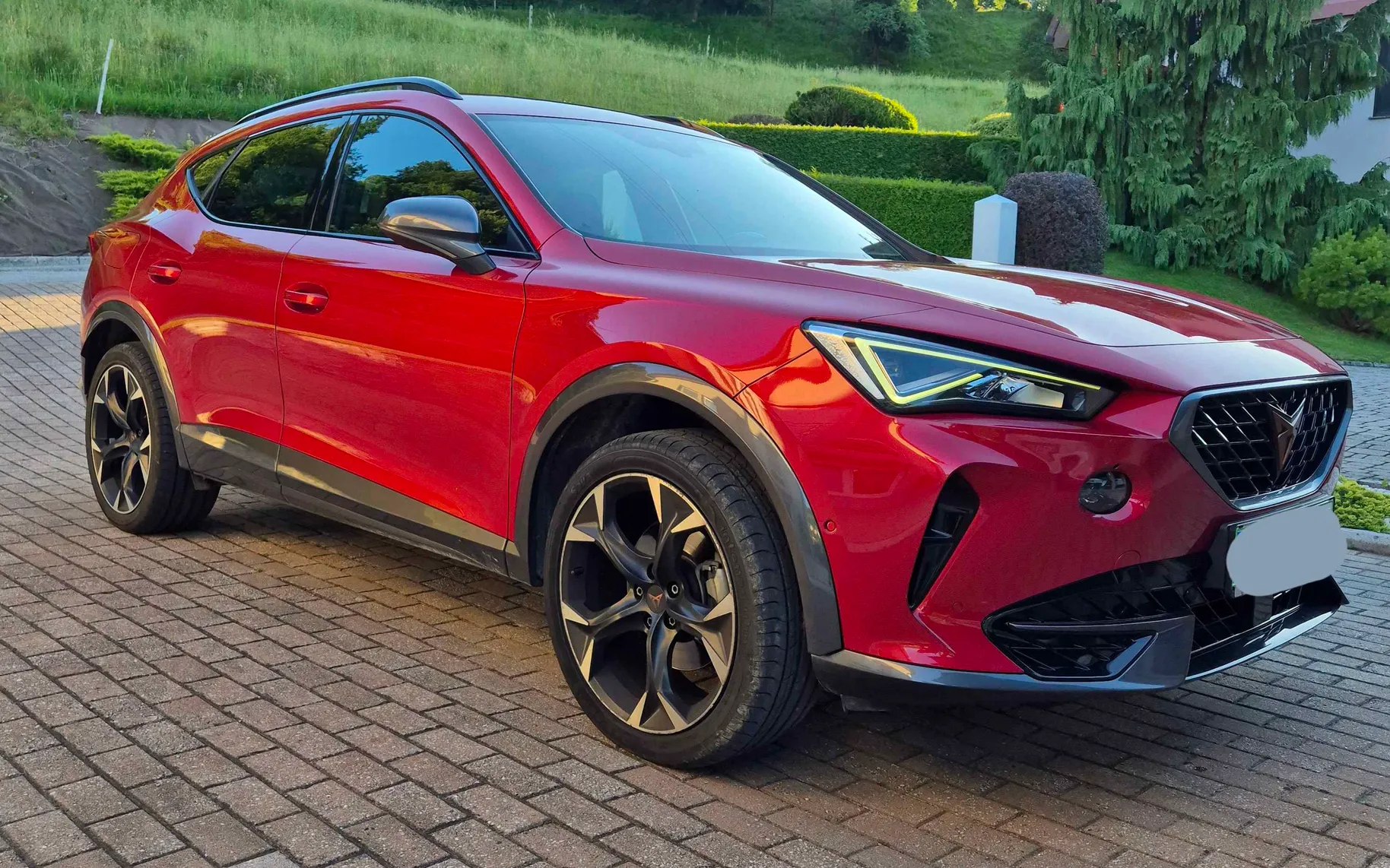 Zunanja slika - Cupra Formentor - 1,5 TSI DSG - 1