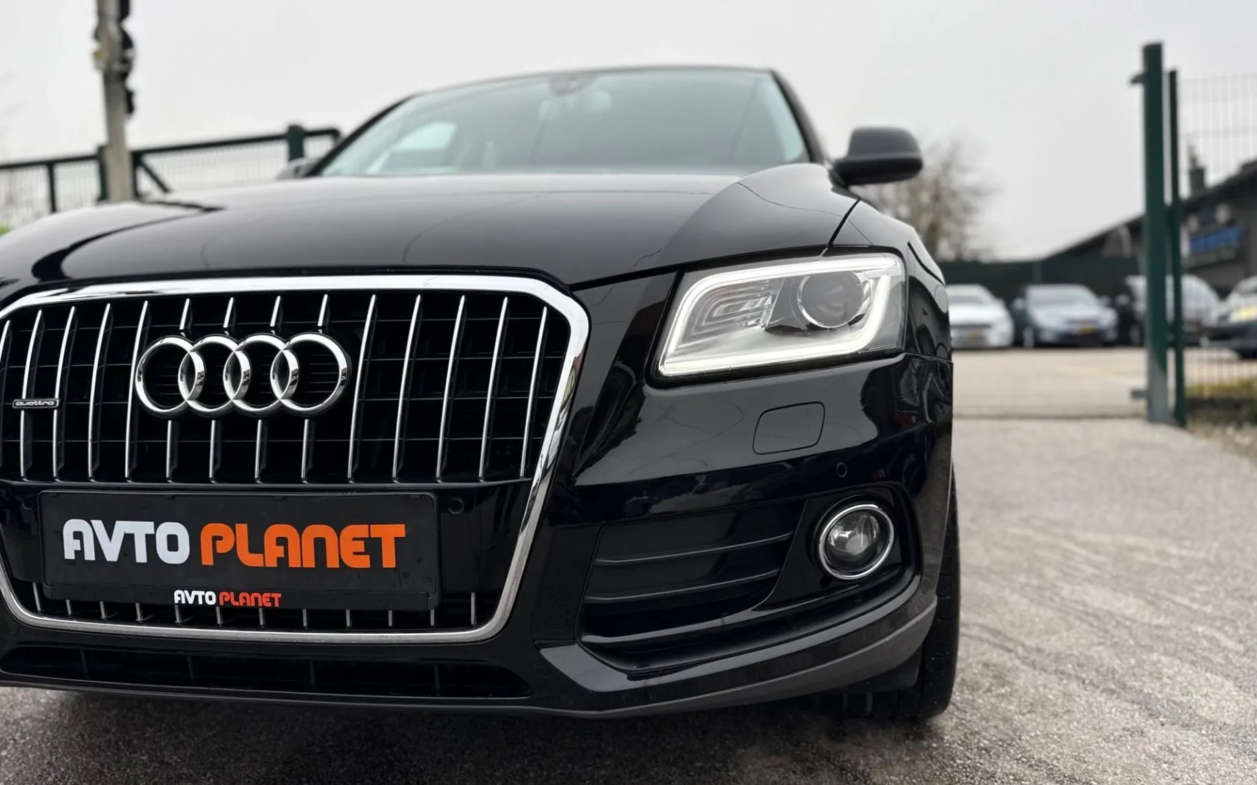 Zunanja slika - Audi Q5 - 2.0 TDI Quattro AUT. ACC LED XENON MMI+ ALU20 - 10