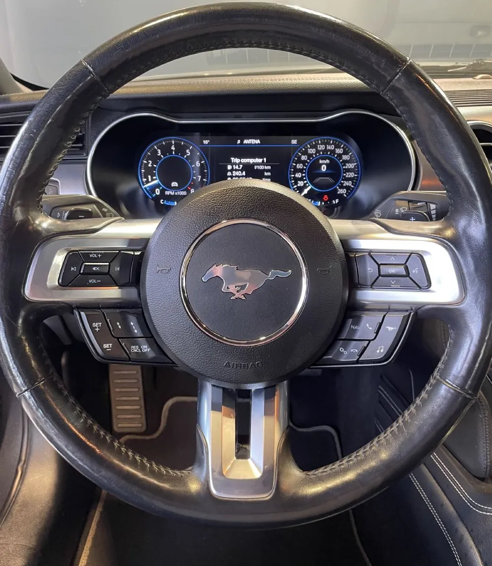 Zunanja slika - Ford Mustang - 5.0-V8-GT-HLAJENJE SED-MEMORY-USNJE-RADAR-LED-20C - 12