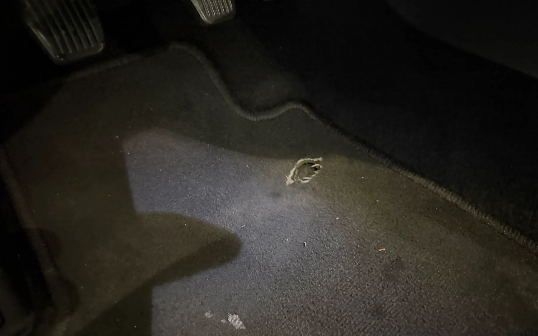 Slika poškodbe - Ford Focus - 1.0 - 180