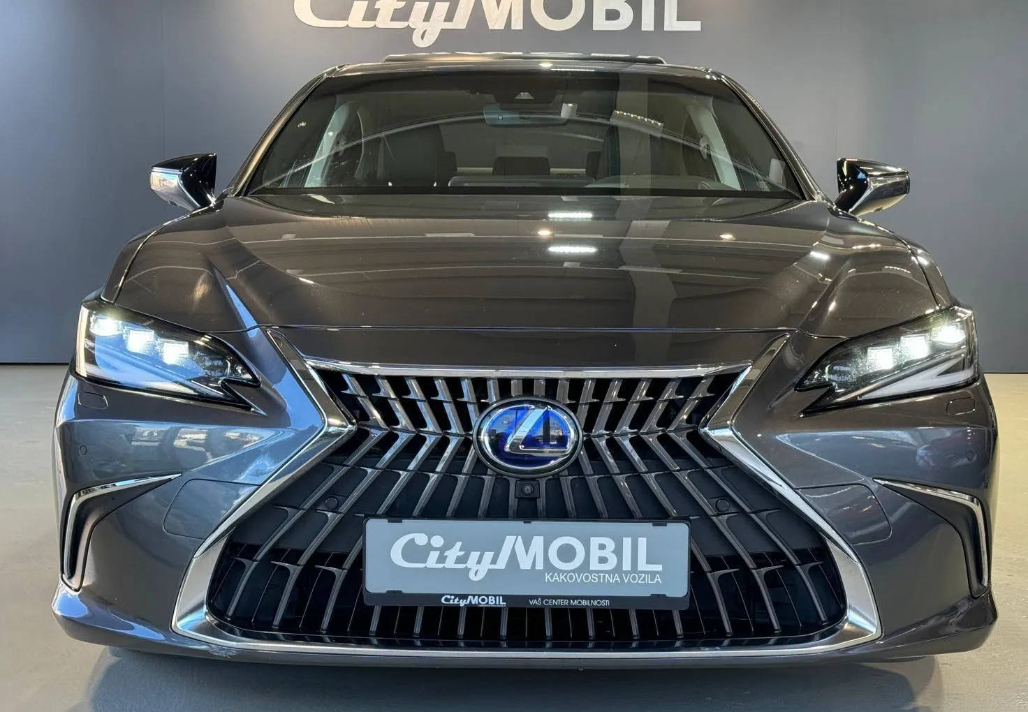 Zunanja slika - Lexus ES - 300H-EXECUTIVE-RADAR-HEADUP-MEMORY-USNJE-HLAJ.SED - 2