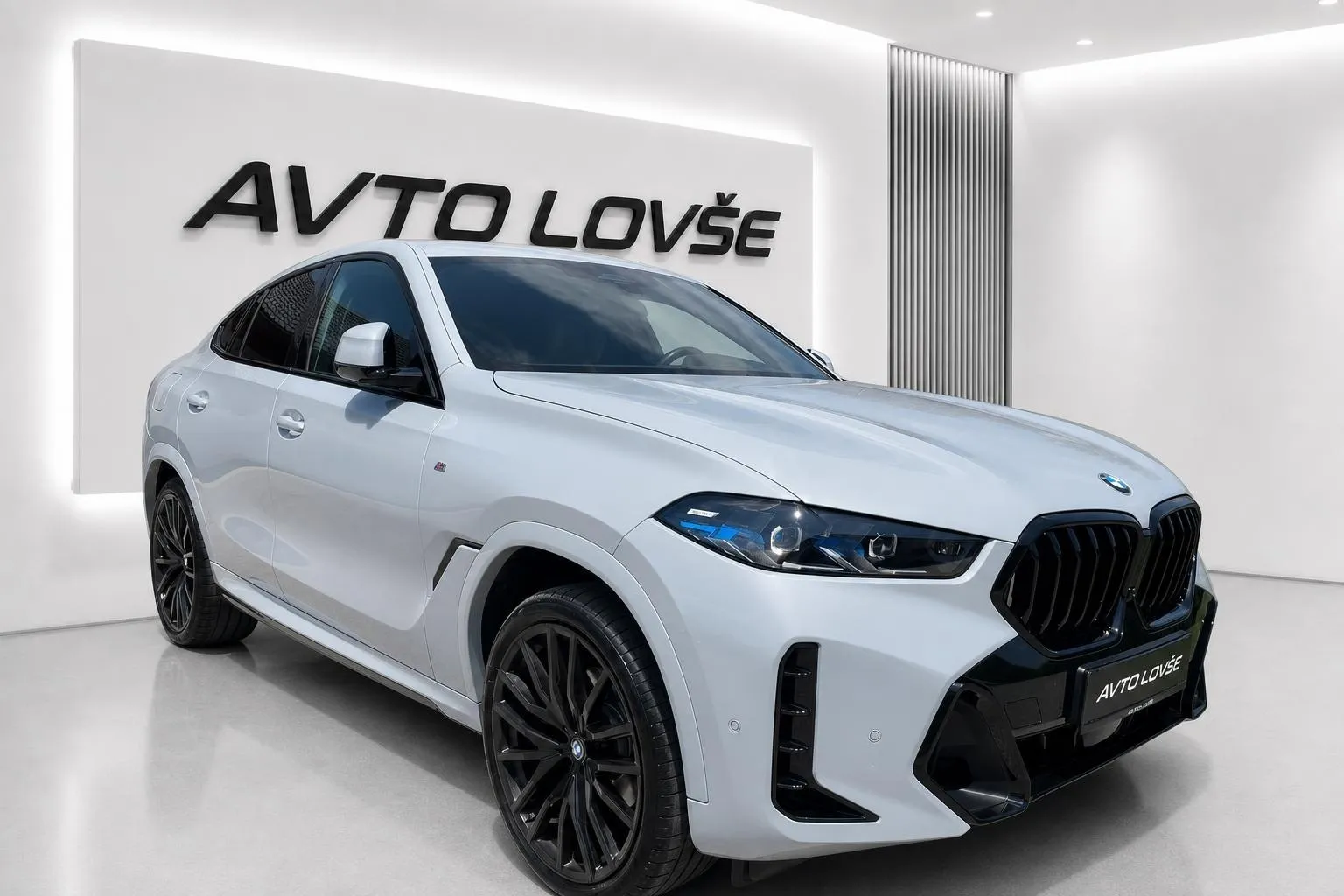 Zunanja slika - BMW serija X6: - xDrive30d Avt.M PRO-ICONIC-SOFT CL-LASER-PANO... - 6