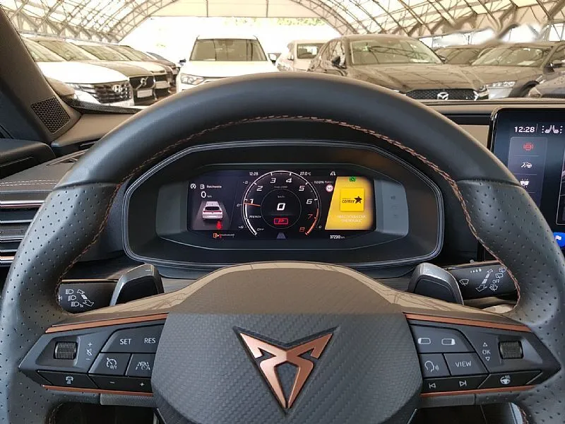 Zunanja slika - Cupra Formentor - VZ 2.0 TSI DSG NAVI MEMORY GR.SED. KAMERA 1.LAST - 12