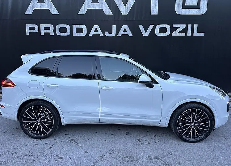 Zunanja slika - Porsche Cayenne - 3.0 TD Platinum Edition-22COL-BOSE-ZRAČNO-VK-PANO - 3