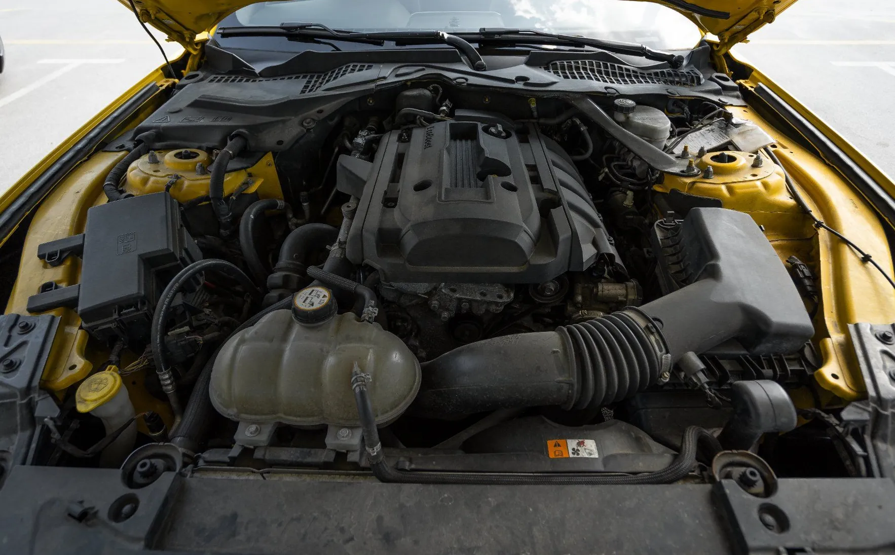 Zunanja slika - Ford Mustang - 2.3 EcoBoost kamera xenon ambientalna osvet. - 16