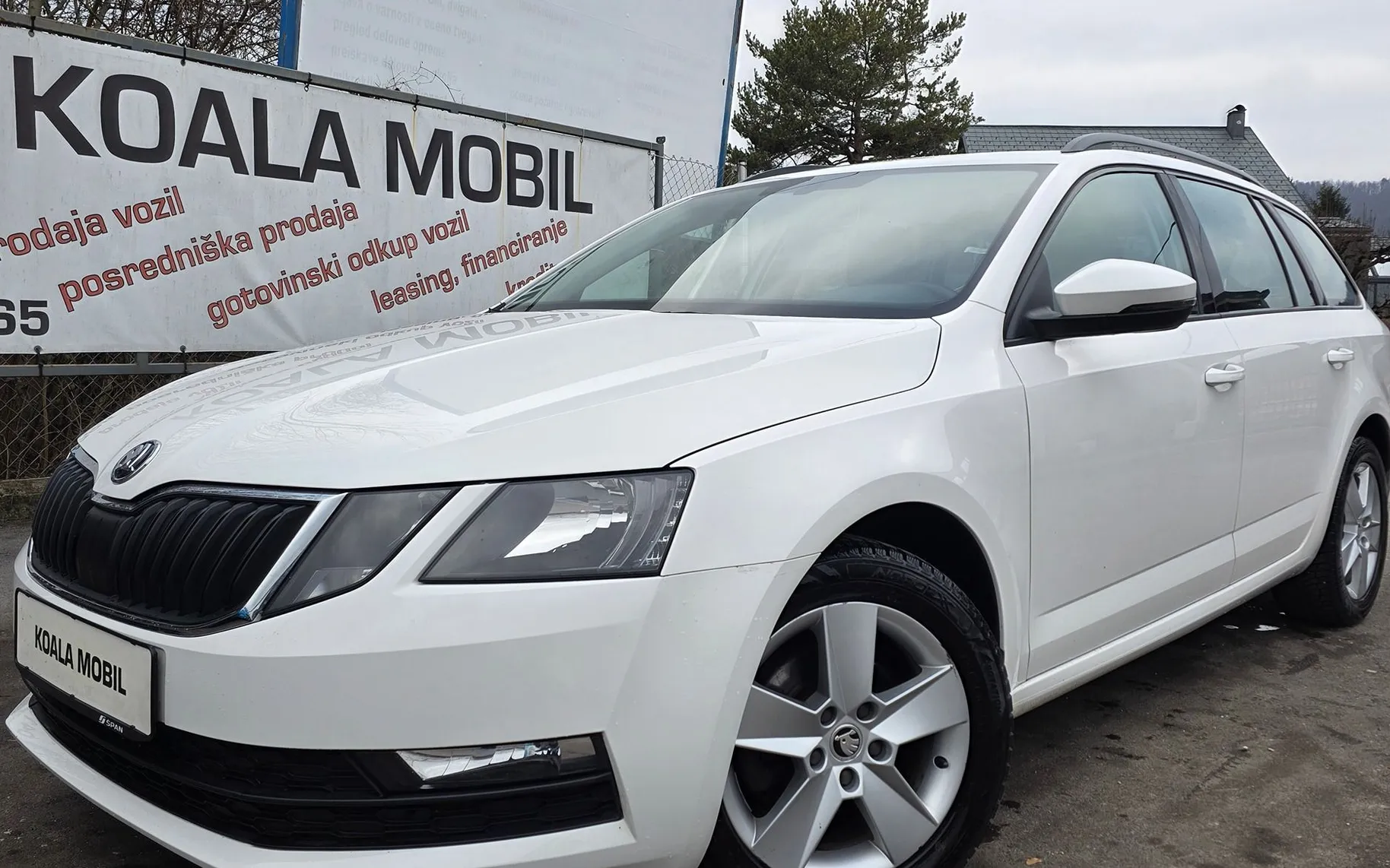 Zunanja slika - Škoda Octavia - 1.6 TDI STYLE ALU PLATIŠČA-MF-ZALSON-SLOVENSKA - 17