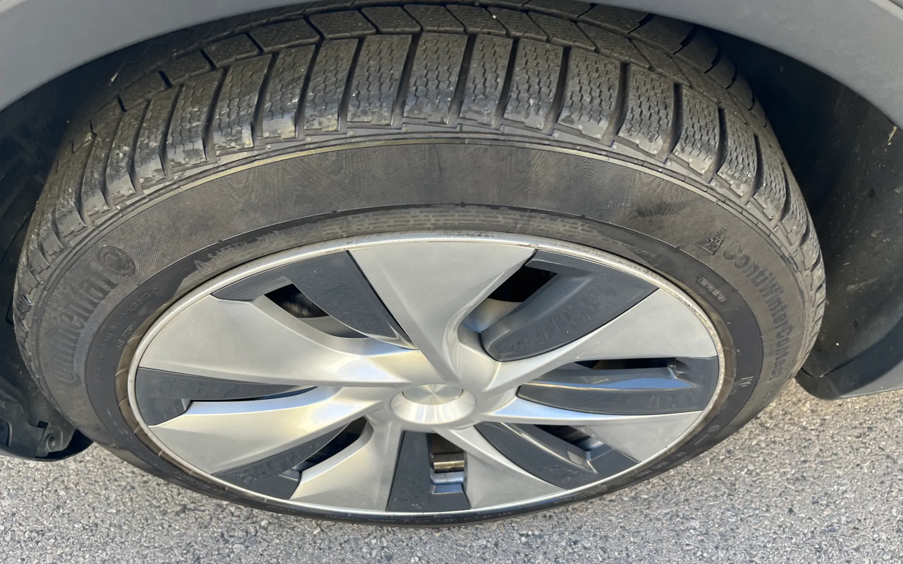 Zunanja slika - Tesla Model Y - 3D3 / 3D7 - 9