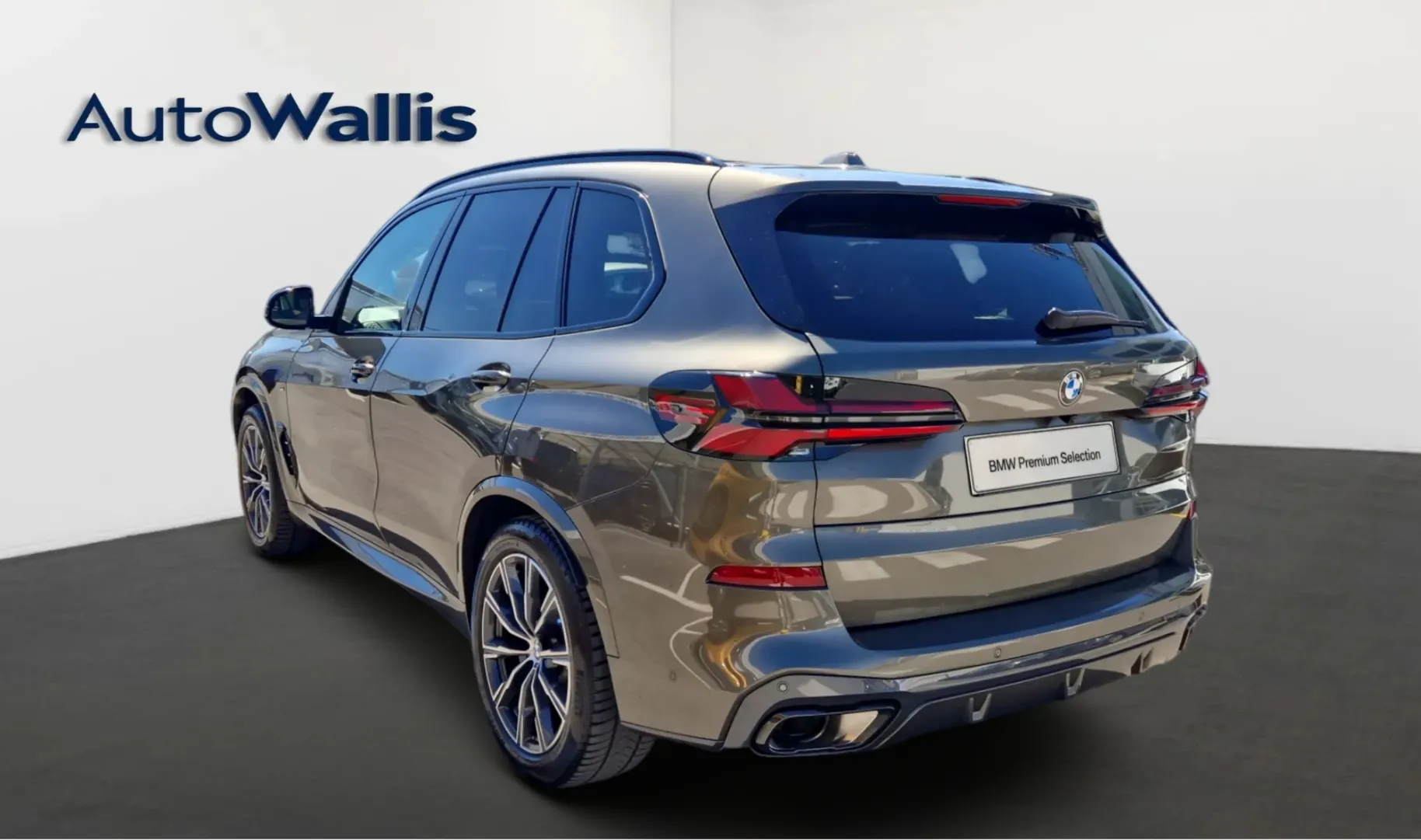 Zunanja slika - BMW X5 - xDrive30d - 12