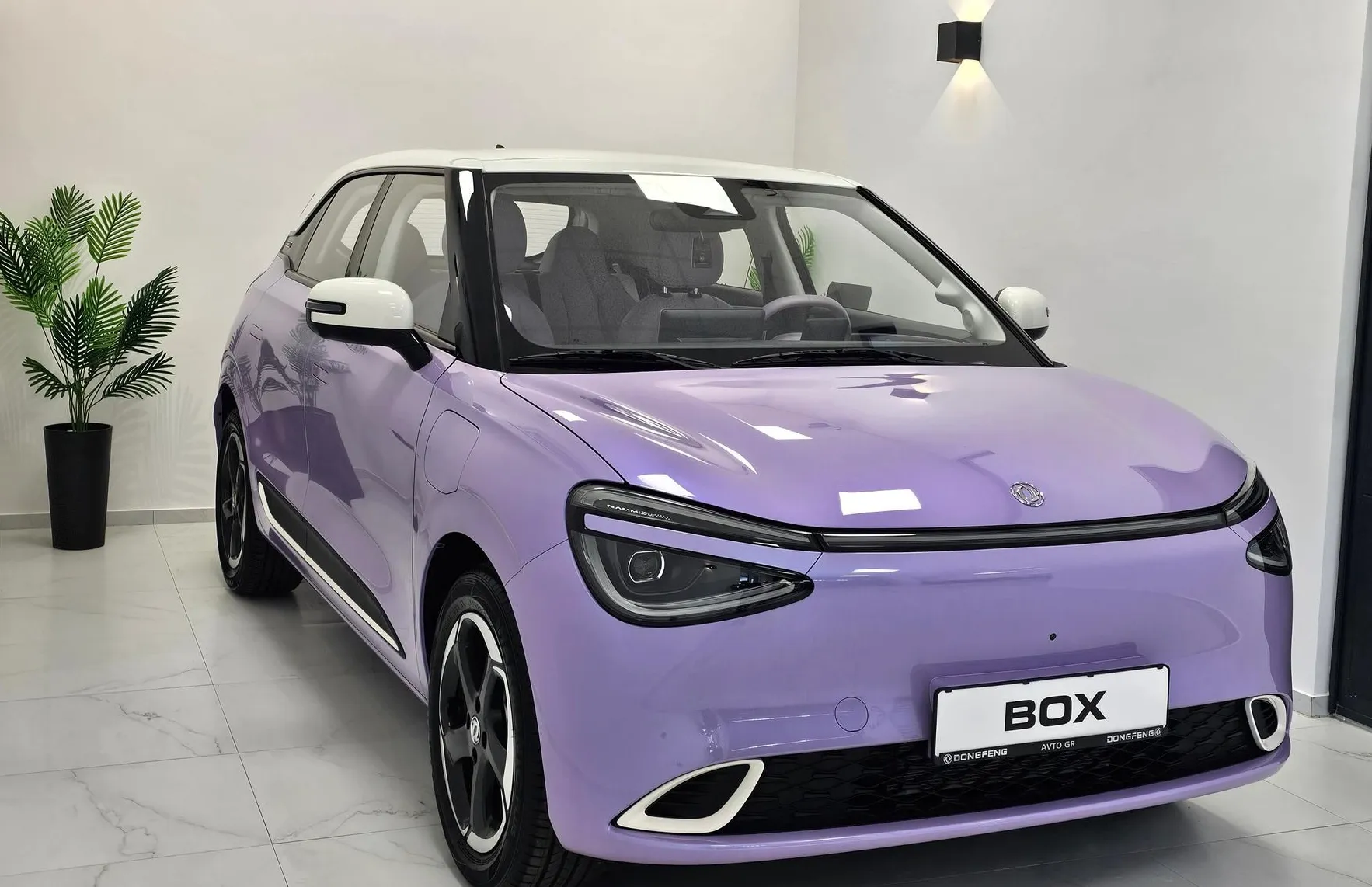 Zunanja slika - Dongfeng Box - Long Range-PURPLE- NA ZALOGI - 1