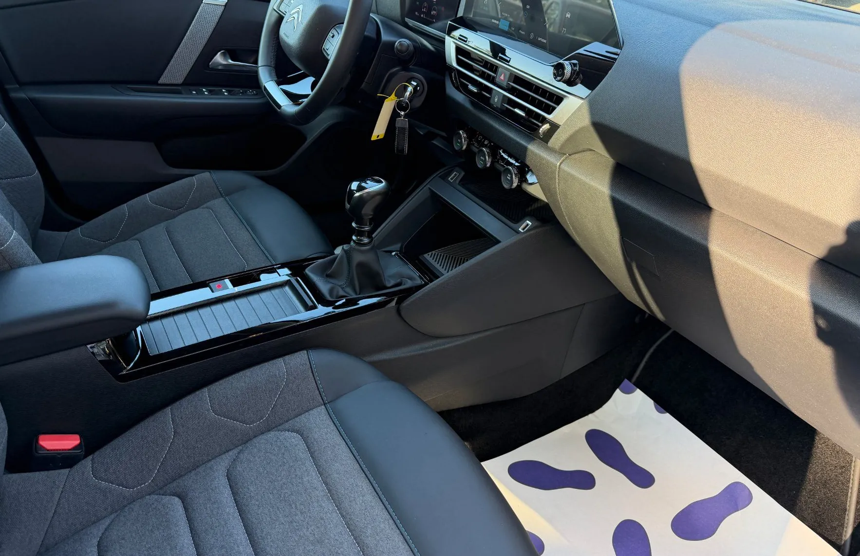 Zunanja slika - Citroën C4 X - Feel 1.2 Puretech 100 1.LASTNIK SLO - 12