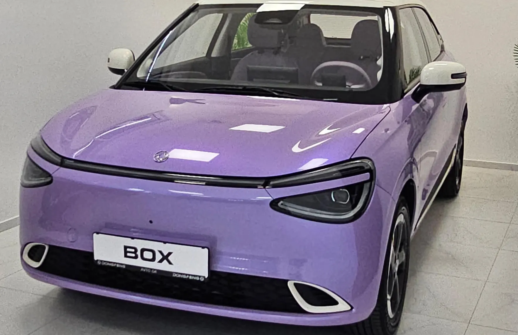 Zunanja slika - Dongfeng Box - Long Range-PURPLE- NA ZALOGI - 14