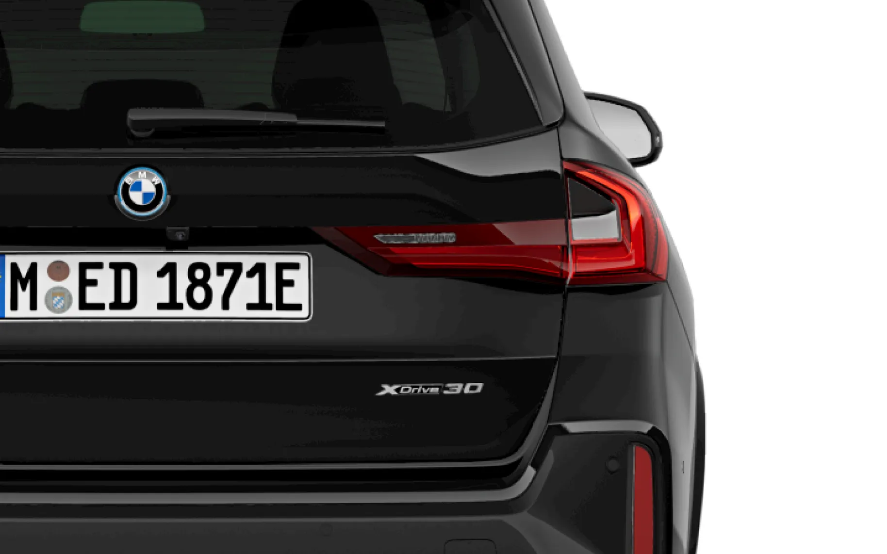 Zunanja slika - BMW iX - 1 xDrive30 - 6