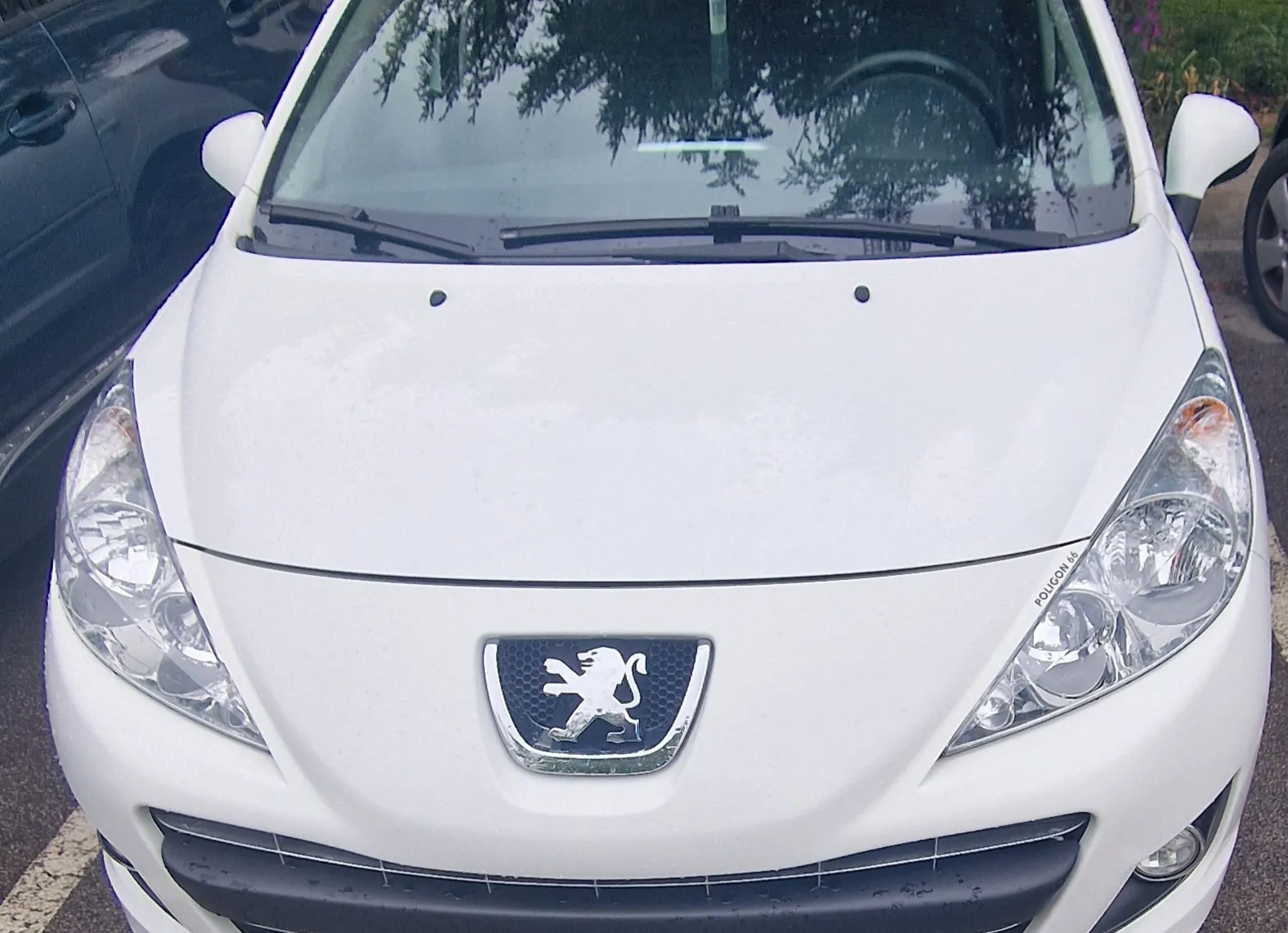 Zunanja slika - Peugeot - 207 Active 1,4 - 1