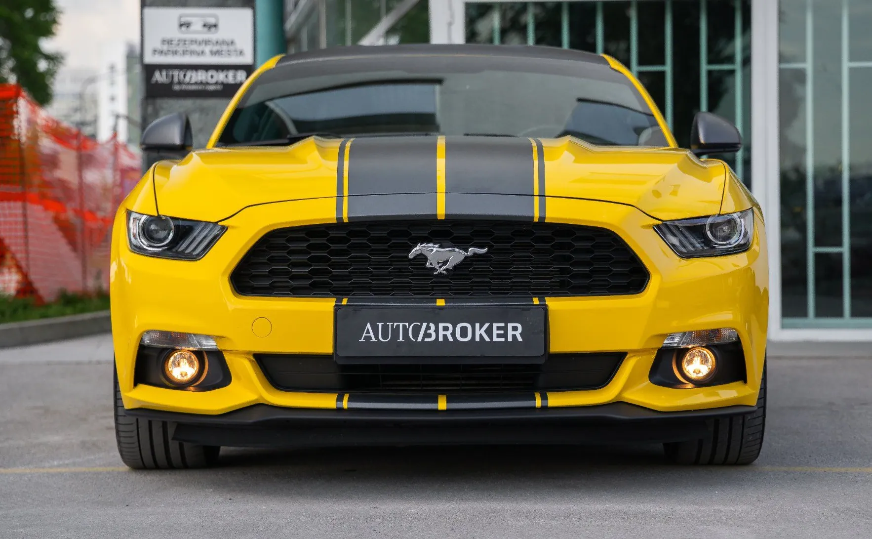 Zunanja slika - Ford Mustang - 2.3 EcoBoost kamera xenon ambientalna osvet. - 2