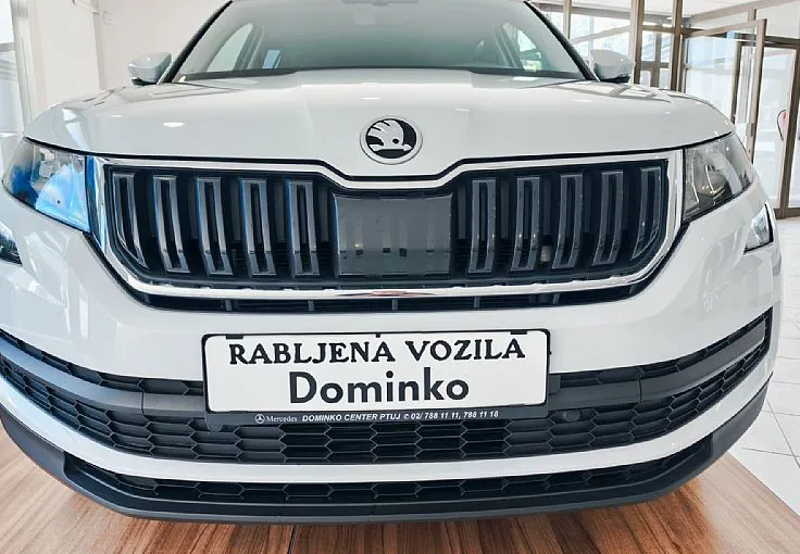 Zunanja slika - Škoda Kodiaq - 2.0 TDI DSG-LED-DAB-NAVI-TEMP-REZ.KOL-SERVIS-VIDEO - 2