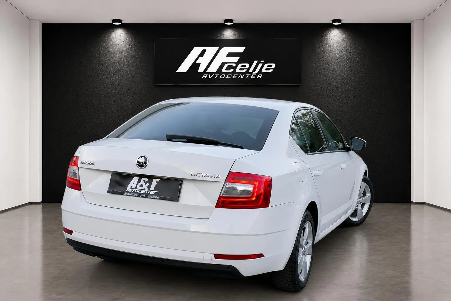 Zunanja slika - Škoda Octavia - 1.6 TDI-LED-LIZING ZA TUJCE-TEMPOMAT-PDC- - 4