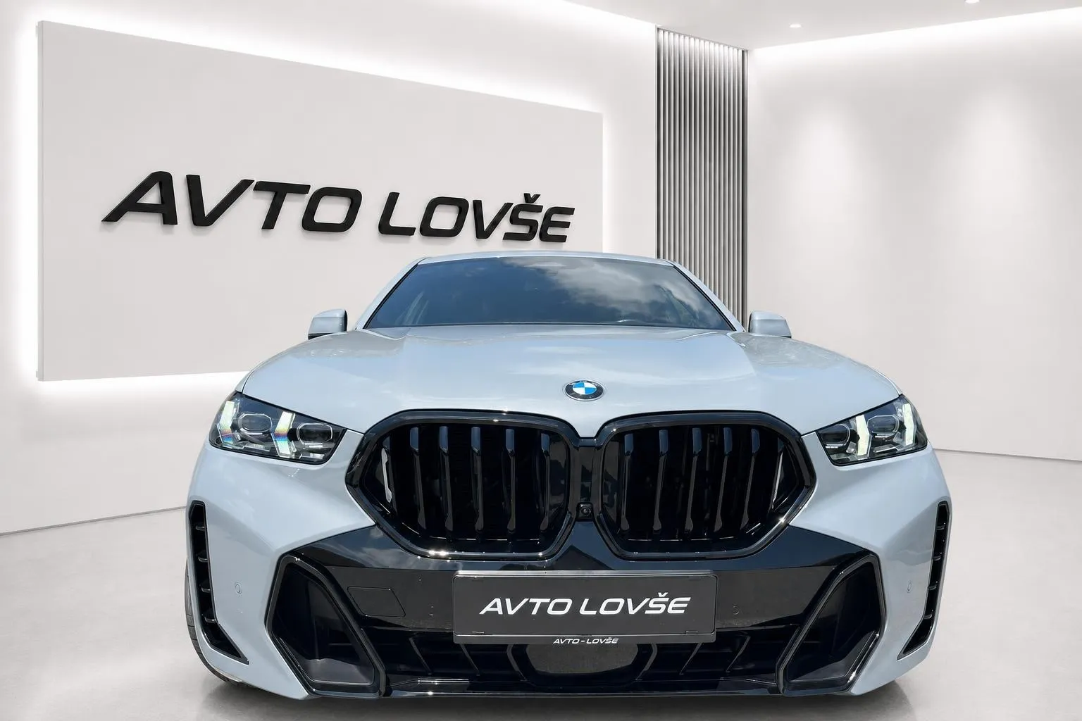 Zunanja slika - BMW serija X6: - xDrive30d Avt.M PRO-ICONIC-SOFT CL-LASER-PANO... - 3
