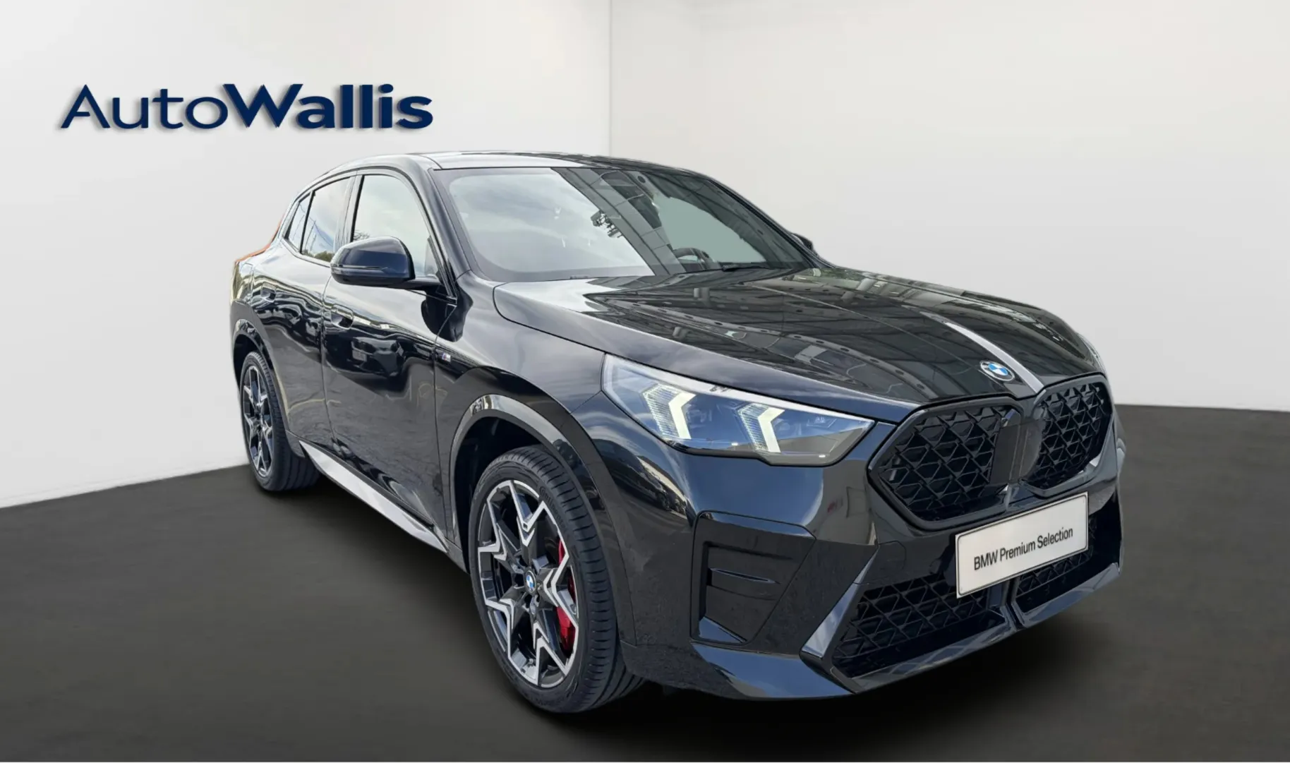 Zunanja slika - BMW X2 - sDrive20i - 9