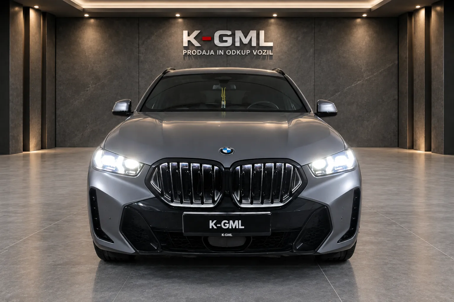 BMW serija X6: