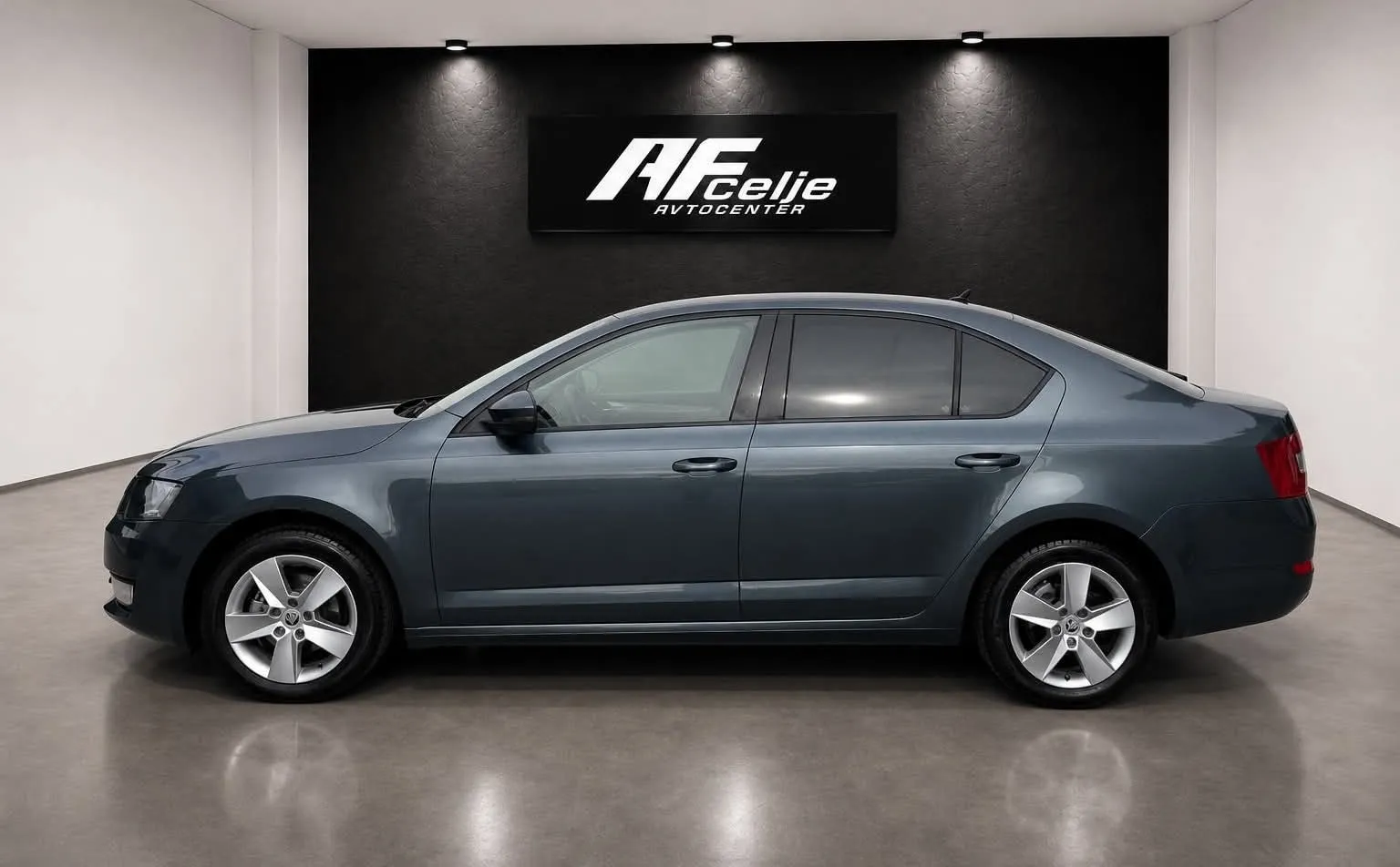 Zunanja slika - Škoda Octavia - 1.6 TDI-NAVIGACIJA-LIZING ZA TUJCE-PDC-ODLIČEN- - 6