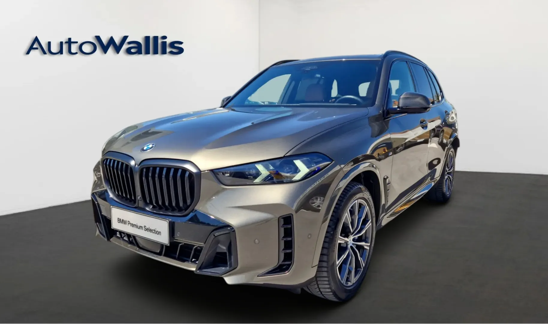 Zunanja slika - BMW X5 - xDrive30d - 1