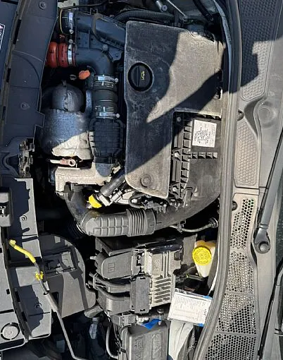 Zunanja slika - Citroën C4 Cactus - 1.6 BlueHDi Shine - VELIKI SERVIS - 11