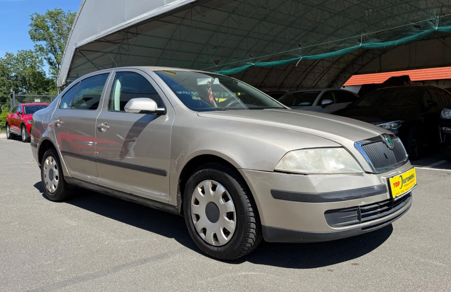 Zunanja slika - Škoda Octavia - 1.9 MOŽNOST FINANCIRANJA BREZ POLOGA TOP - 10