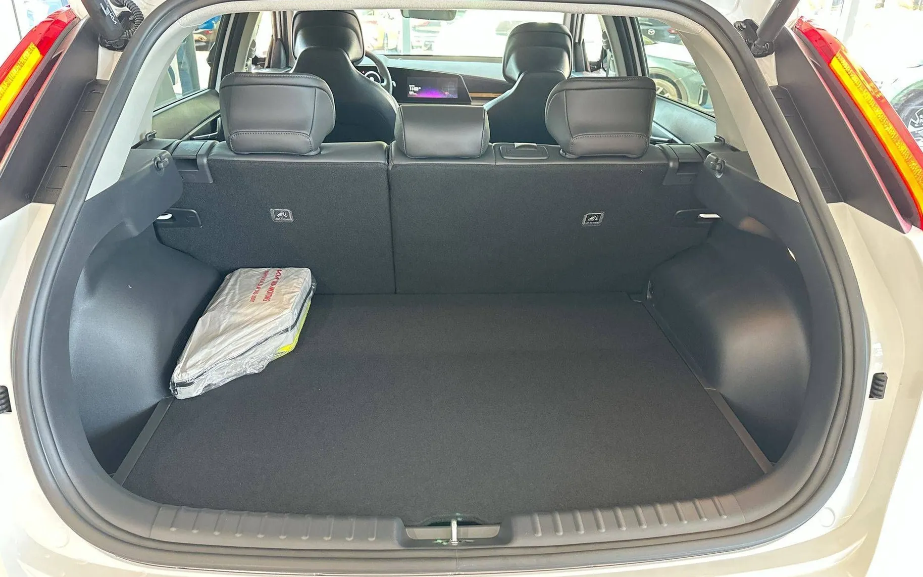 Zunanja slika - KIA Niro - Limited Edition - 10