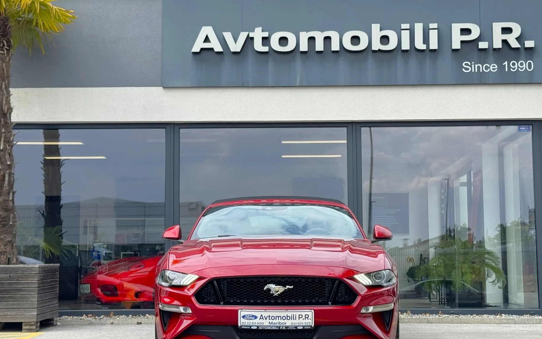 Zunanja slika - Ford Mustang - 5.0 V8 GT AVT CABRIO 449KM IZVEDBA 55 LET A - 2