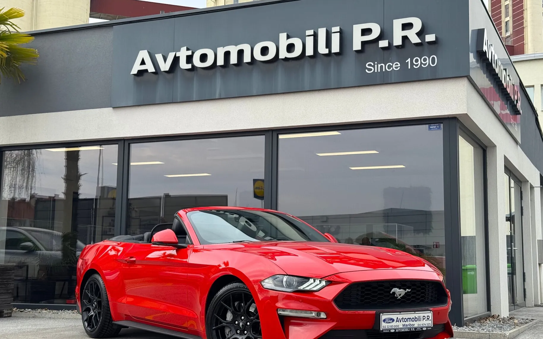 Zunanja slika - Ford Mustang - 2.3 EcoBoost 290KM AVT SLO samo 58.254 km ODLIČEN - 2