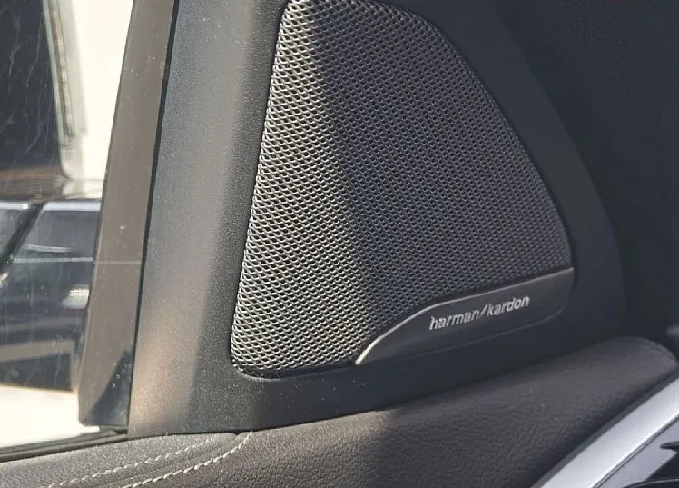 Zunanja slika - BMW X6 - serija : xDrive30d HAMANN - PANORAMA - ZRAČNO VZMETENJE - 19