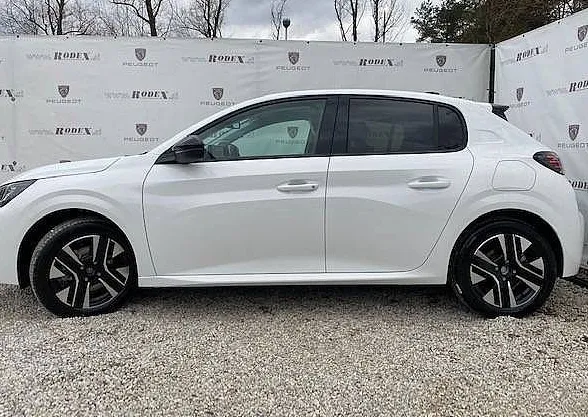 Zunanja slika - Peugeot 208 - ALLURE 1.2 PURETECH 100 - 4